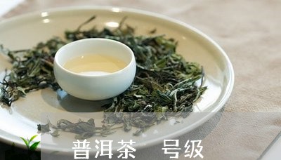 普洱茶 号级/2023042777890